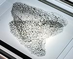 galeriebild12_img.jpg