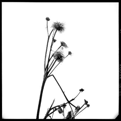 indexbild