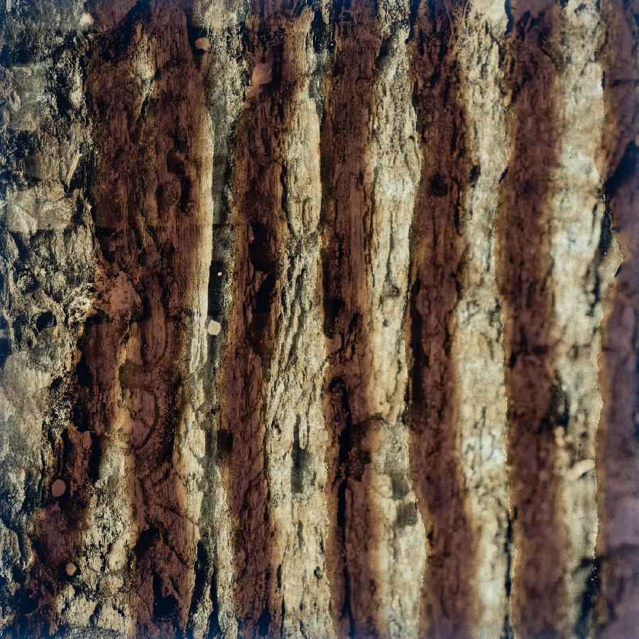 indexbild